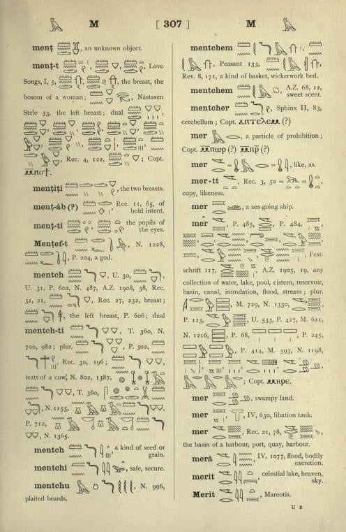 Egyptian Hieroglyphic Dictionary Volume 1 page 0307 v0001
